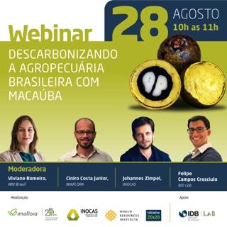 Felipe Cresciulo, photo 2