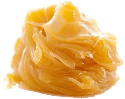 Jash Zaveri, photo 2