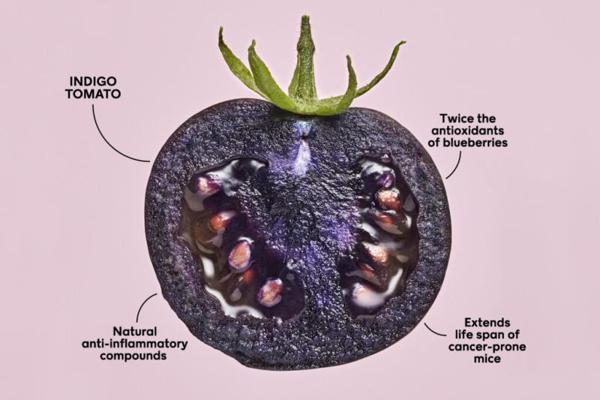 Forrest Baringer-Jones, photo 2