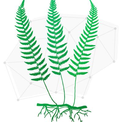 Stuart Campbell, photo 1