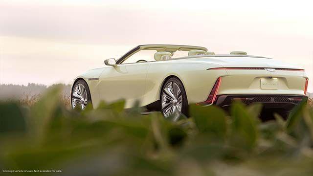 Jon Firpach, photo 2