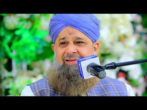 Tooba Qadri, photo 1