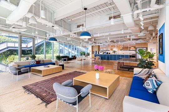 Mohammad Cazi, photo 1