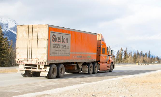 Megan Mossip, photo 1