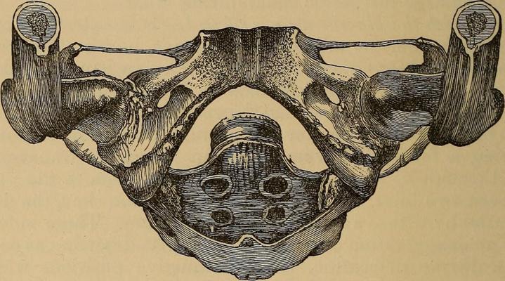 Germain Garnier, photo 2