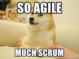 Jasper van Heijst, photo 2