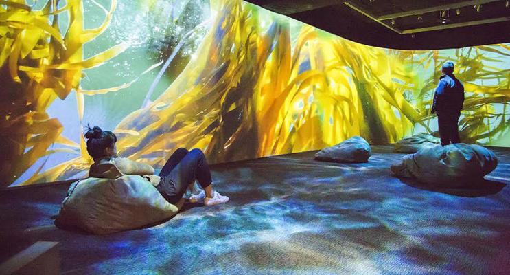 Jason Reinier, photo 1