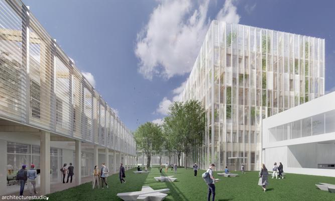 Natsumi Barekayo, photo 2