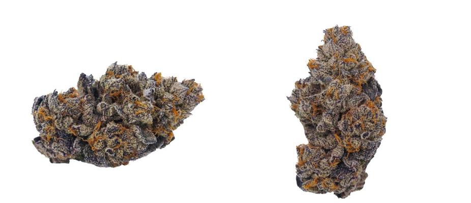 Daniel McRobert, photo 1