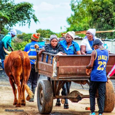 Sunil Phatak, photo 1