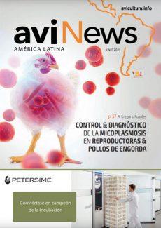 Alejandro Gregorio, photo 1