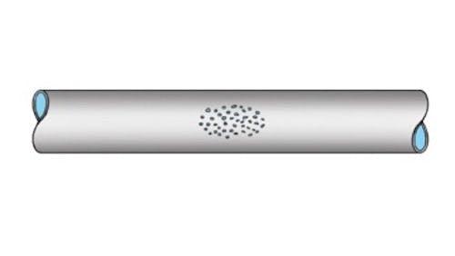 Avi Chiproot, photo 1