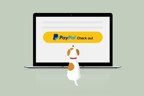 Adam Leibsohn, photo 1