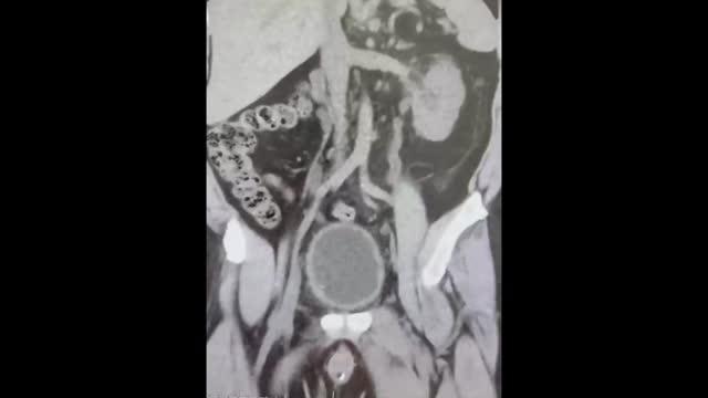 Sebastian Jarl, photo 1