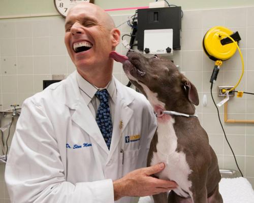 Peter Belafsky, photo 1