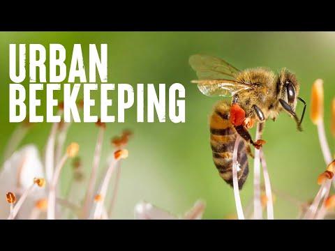 Roberto Pasi, photo 2