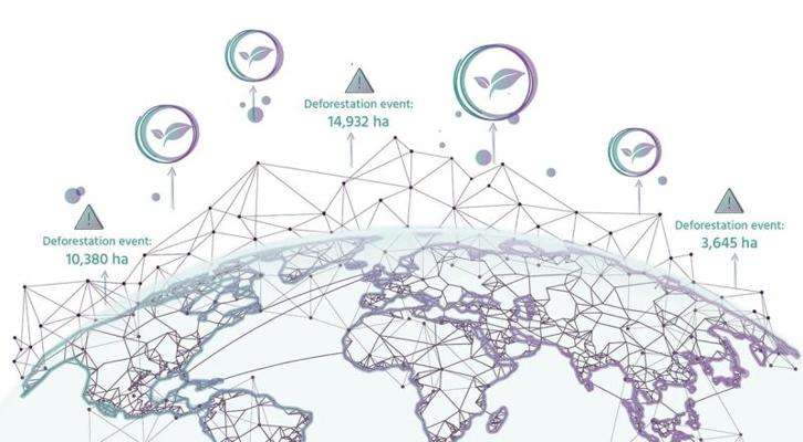 Jarek Ostapowicz, photo 2