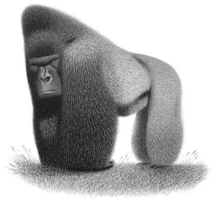 Chad Krisher, photo 2