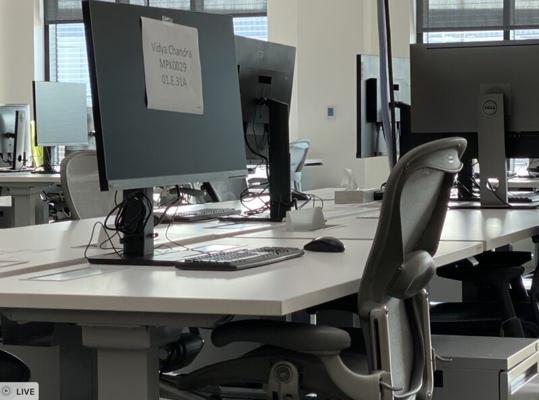 Vidya Chandra, photo 2