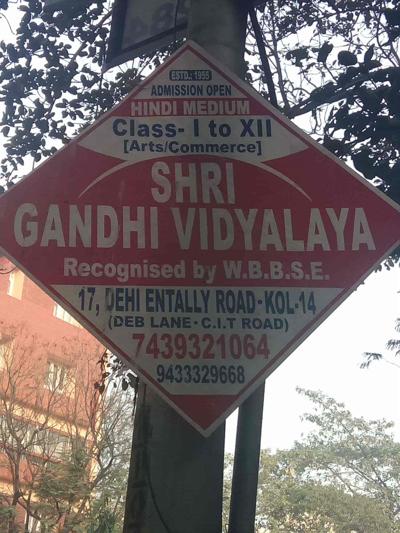 Shree Gandhi, photo 2