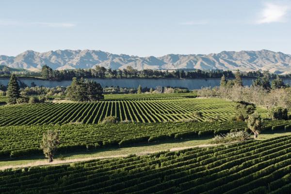 Toby Selman, photo 1