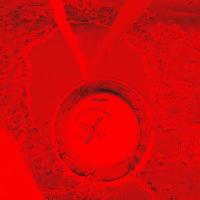 Tali Beesley, photo 2