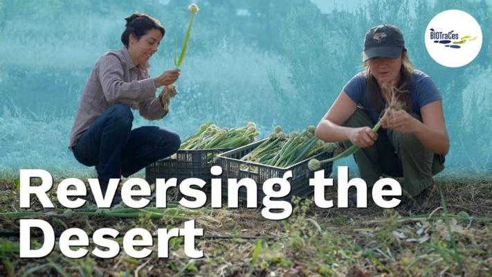 Daan Mertens, photo 2