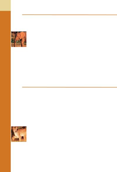 Julie Sutherland, photo 1