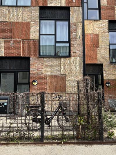 Maurizio Bernabei, photo 1