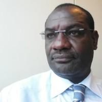 Walter Strategist, photo 2