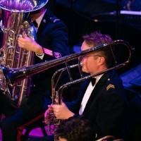 Niels Lammers, photo 2