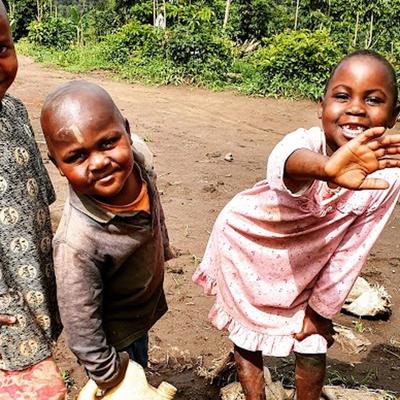 Kevin Shepherd, photo 2