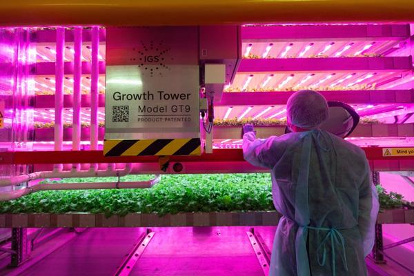 Joe Macklin, photo 2