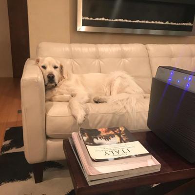 Sande Golgart, photo 2