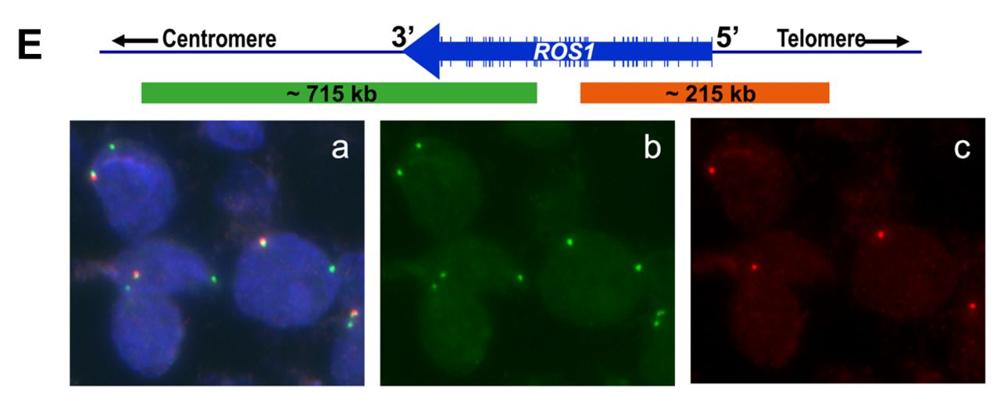 Craig Tainsky, photo 1