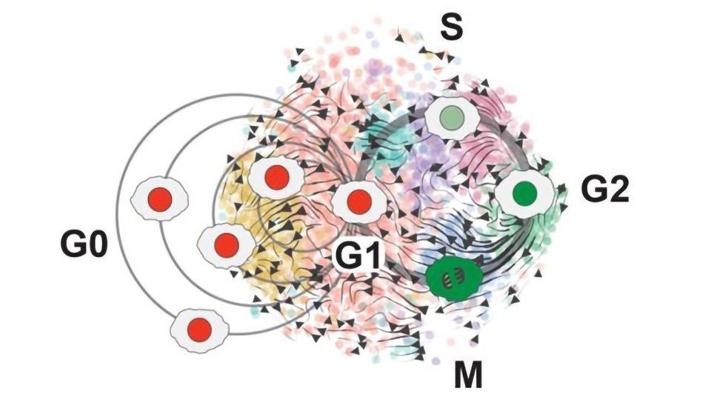 Christopher Plaisier, photo 1