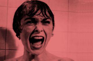 Noisy Lingus, photo 1