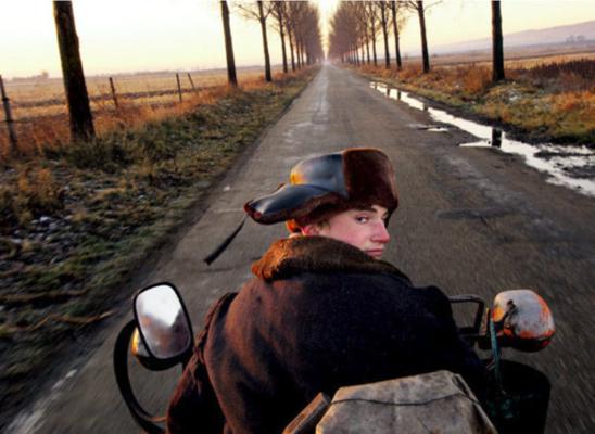 Judy Gitenstein, photo 2