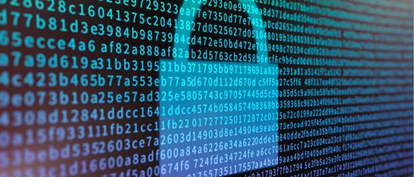 Valentina Haumer, photo 1