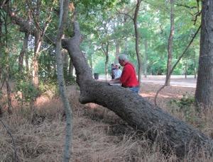 Steve Houser, photo 2