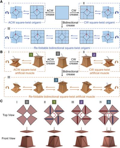 Benjamin Balzer, photo 1