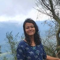 Krishnendu K, photo 1