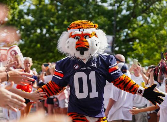 James Buston, photo 1