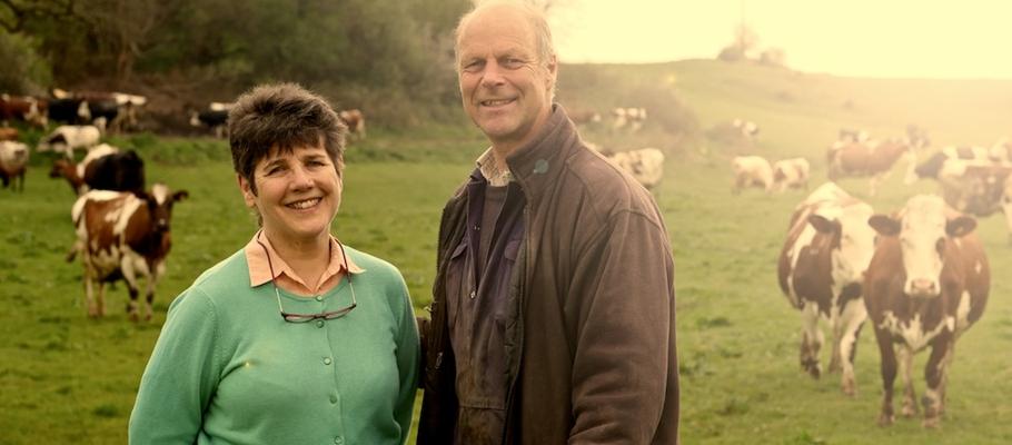 David Finlay, photo 1