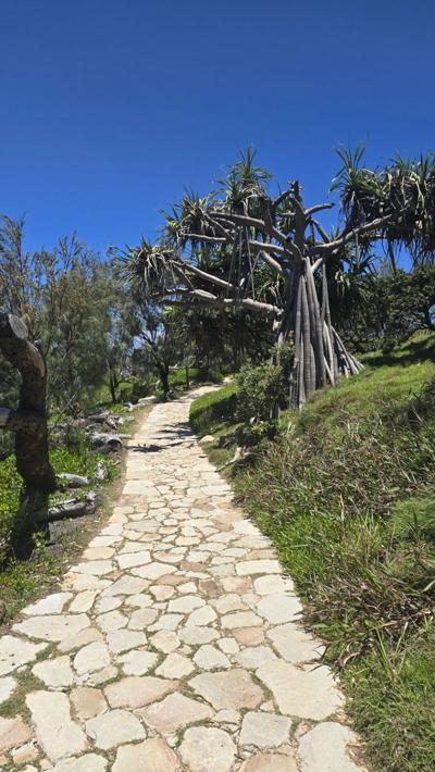 David Schau, photo 1