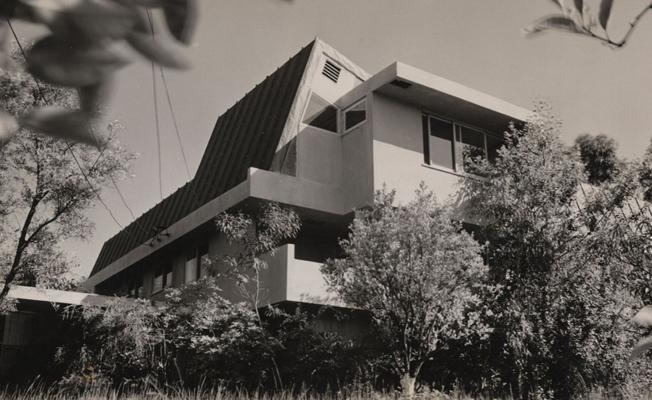 Dave Dekker, photo 2