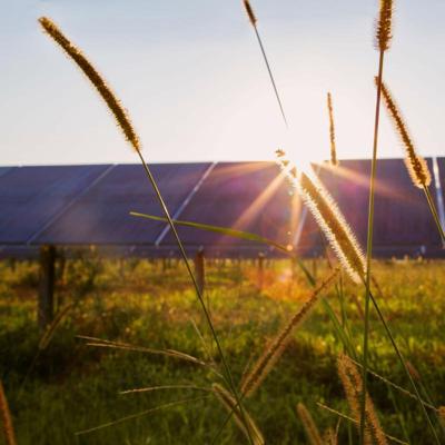 Iris Korovesi, photo 1