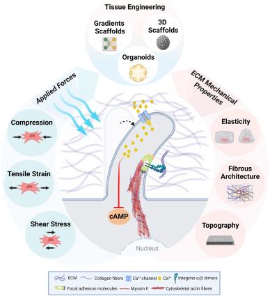 Len Avecilla, photo 1