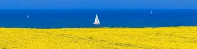 Anastasiia Bieliaieva, photo 2