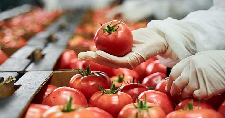 David Schulz, photo 2